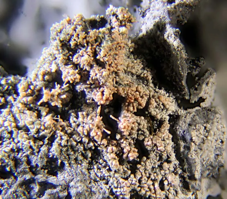 Steropesite.jpg