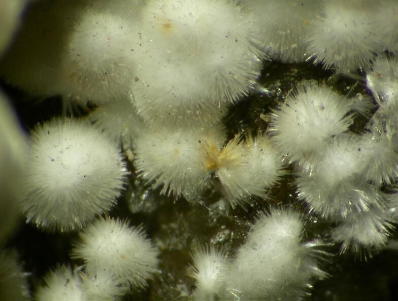 Strontiodresserite