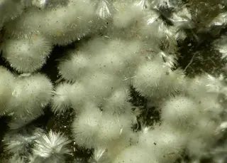 Strontiodresserite-120509.jpg