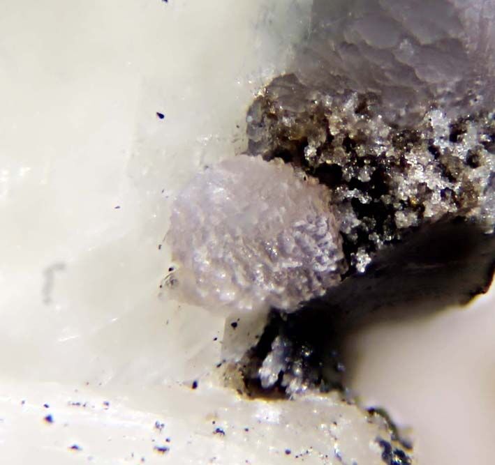 Strontiowhitlockite
