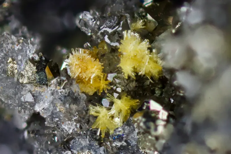 Auriacusite Mina Maria Josefa.webp