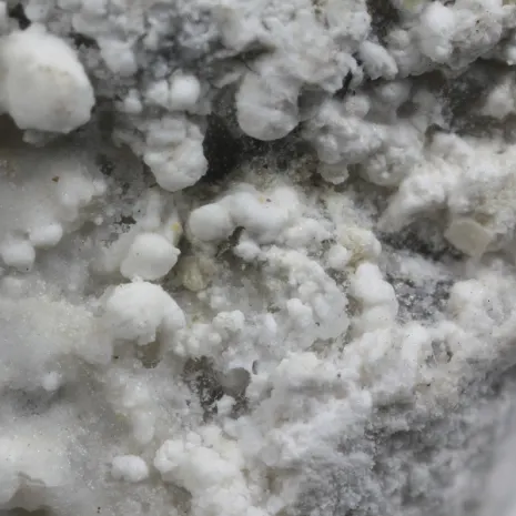 Švenekite-759749.jpg