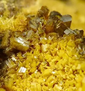 Soddyite-Swamboite-180971.jpg