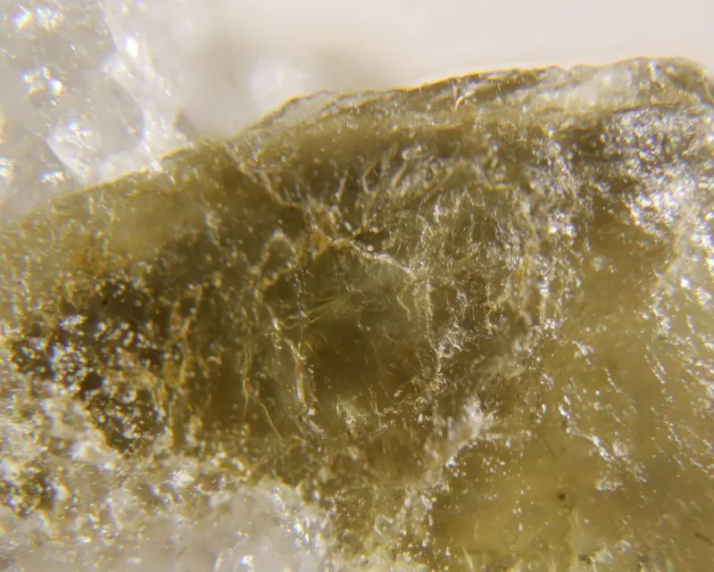 Swinefordite.jpg