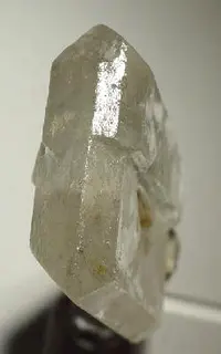 Sylvite-4jg44b.jpg