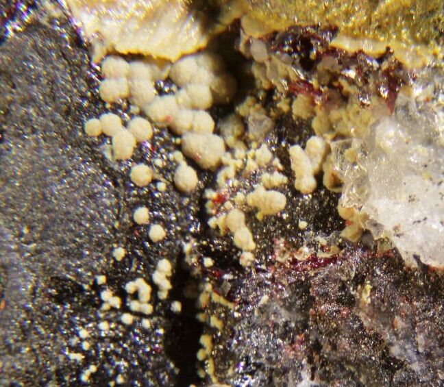 Symplesite