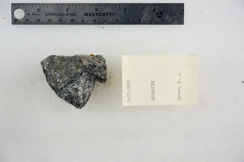 Doverite (48522704867).jpg