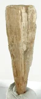 Syngenite-291274.jpg