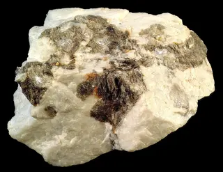 Taeniolite and plagioclase (GeoDIL number - 968).jpg