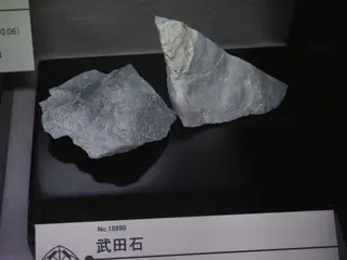 Takedaite displayed at Mining Museum of Akita University.jpg