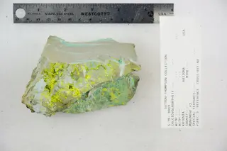 Calciovolborthite (48522513741).jpg