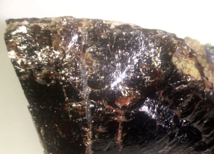 Tantalaeschynite-(Y).jpg