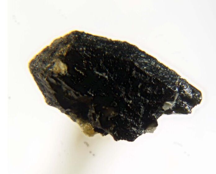 Tantalowodginite