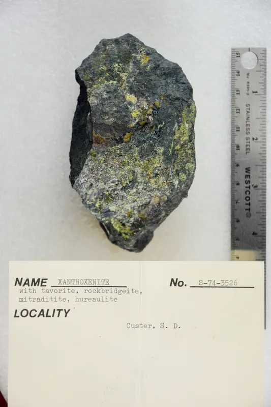 Xanthoxenite with Tavorite, Rockbridgeite, Mitraditite, and Hureaulite (48303110821).jpg