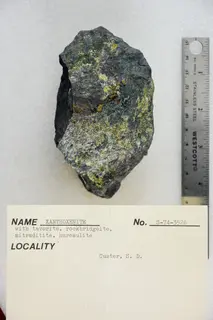 Xanthoxenite with Tavorite, Rockbridgeite, Mitraditite, and Hureaulite (48303110821).jpg