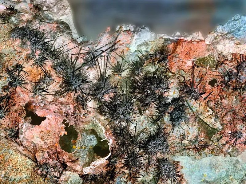Tazieffite - Mutnovsky volcano, Kamchatka, Russia (Color SEM).jpg