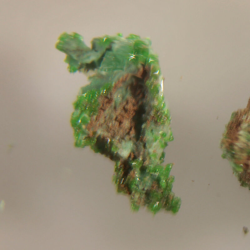Avdoninite