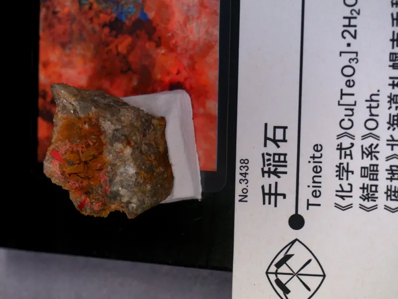 Teineite displayed at Mining Museum of Akita University 02.jpg