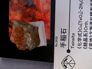 Teineite displayed at Mining Museum of Akita University 02.jpg