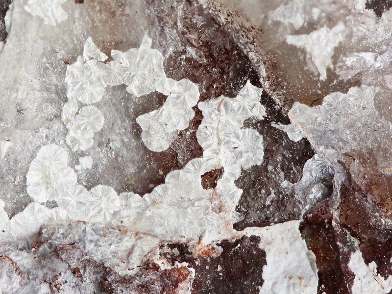Tengerite-(Y)