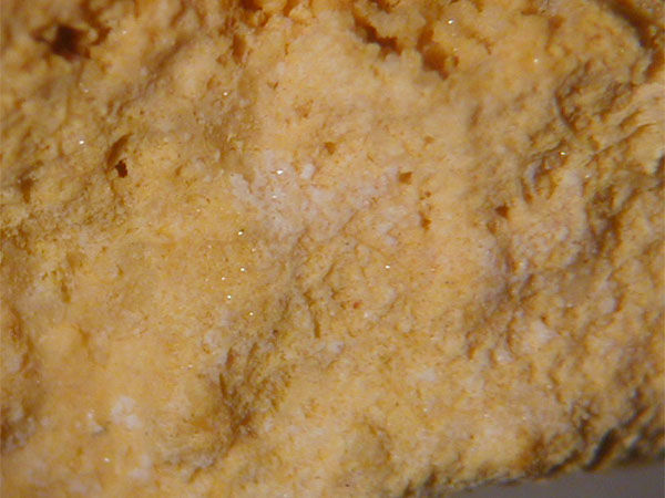 Ferruccite