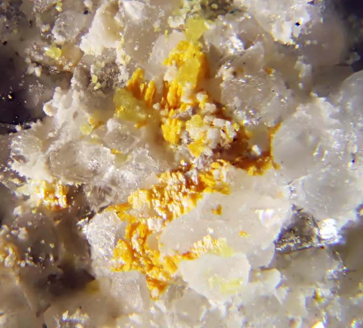 Terlinguacreekite & Kleinite.jpg