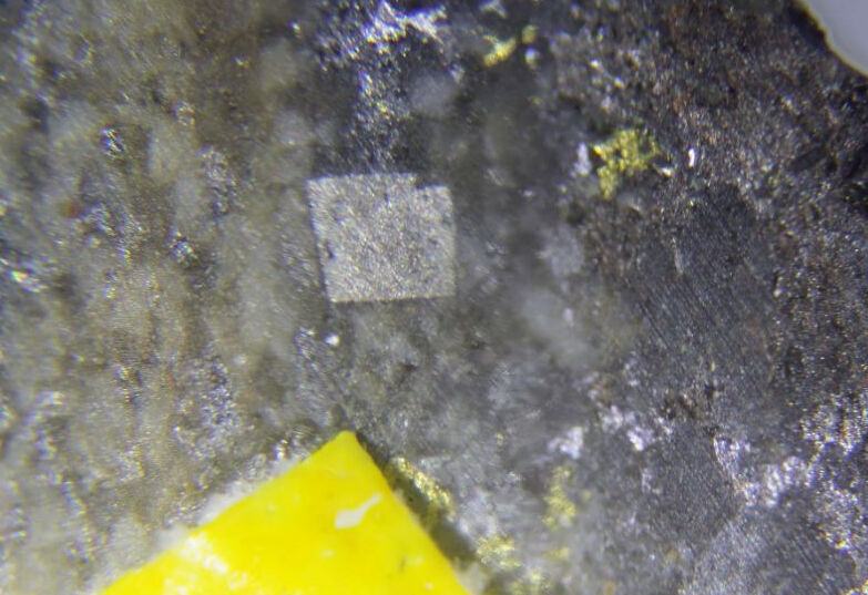 Thalfenisite