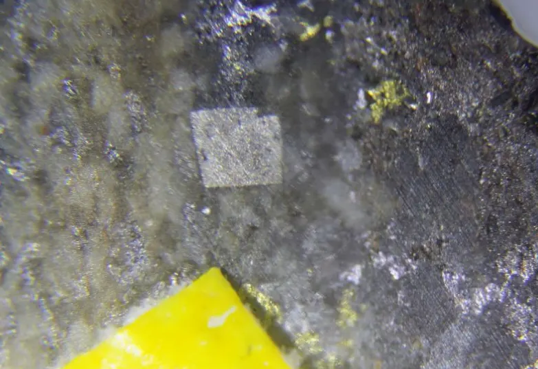 Thalfenisite.jpg
