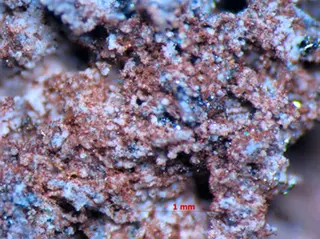 Small brown crystals of thermaerogenite (b).png