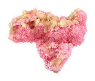 Axinite-(Mn)-Rhodonite-76624.jpg