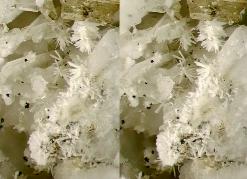 Thorbastnäsite, Albite.jpg