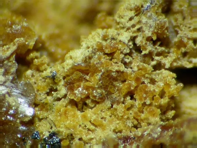 Tinsleyite-87350.jpg