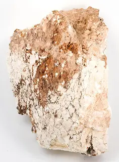 Tinticite-pas-174a.jpg