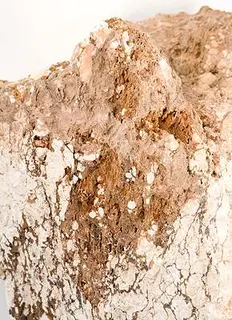 Tinticite-pas-174b.jpg