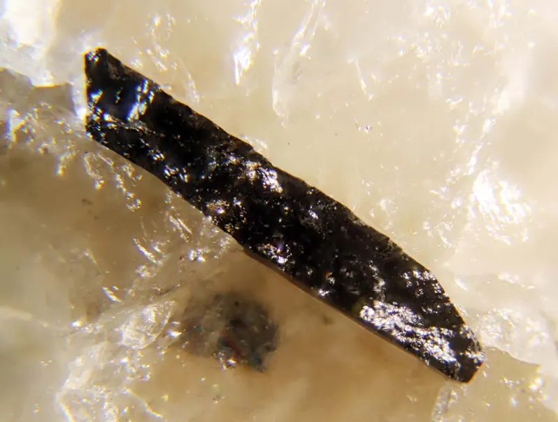Titanowodginite.jpg