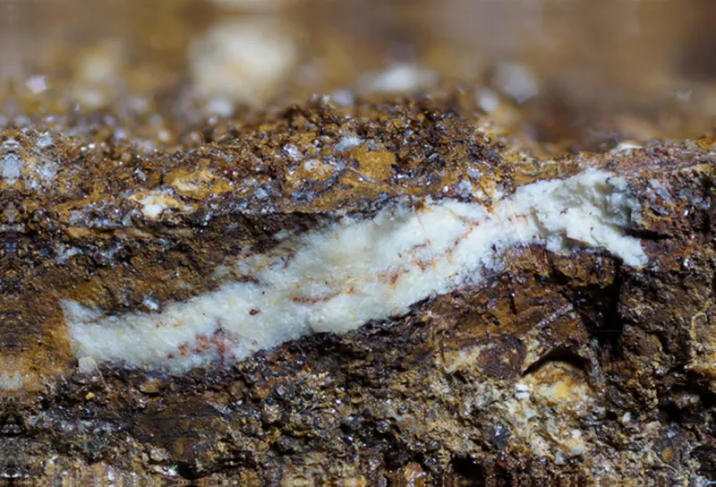 Tomsquarryite-1238353.png