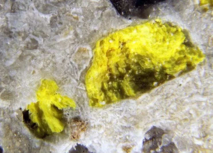 Triangulite.jpg