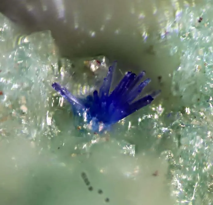 Triazolite.jpg