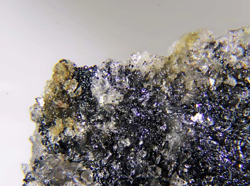 Trigonite.jpg