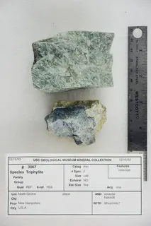 Triphylite and Vivianite, Triploidite with Lithiophilite (48140109708).jpg