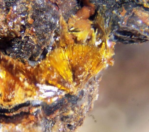Tristramite