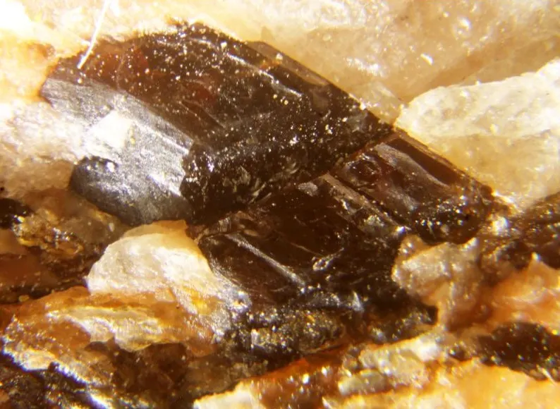 Tritomite-(Y).jpg