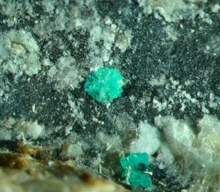 Tsumebite-278446.jpg