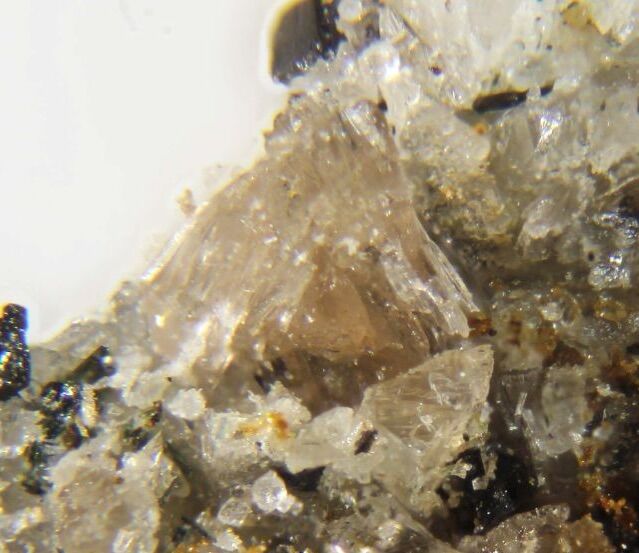 Tuliokite