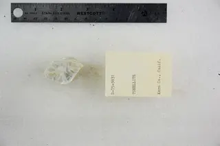 Tunellite (48522706492).jpg