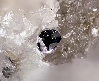 Tungstenite.jpg