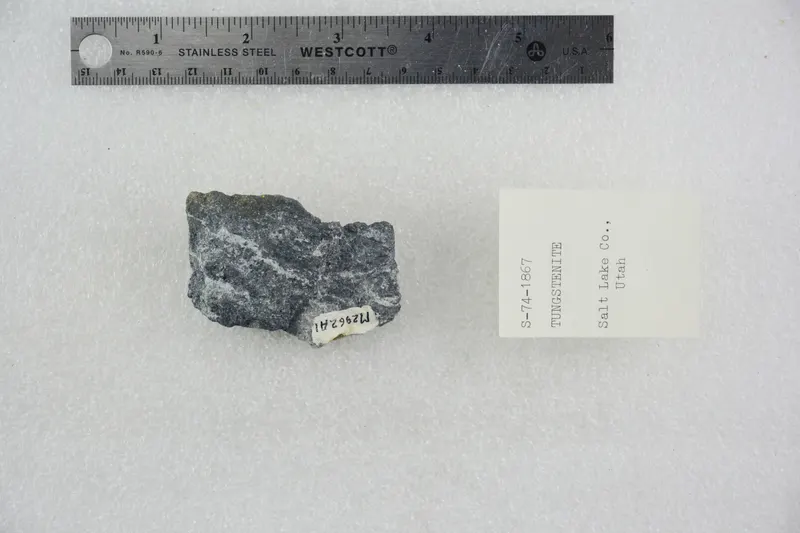 Tungstenite (40945022833).jpg