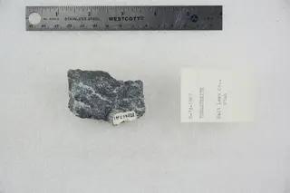 Tungstenite (40945022833).jpg