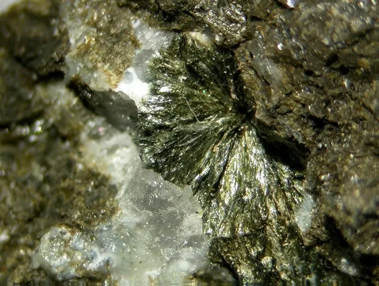 Tungusite-93263.jpg