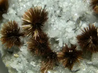 Tuperssuatsiaite-87736.jpg